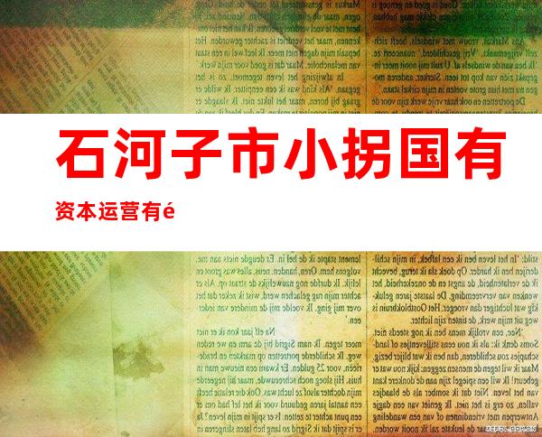 石河子市小拐国有资本运营有限公司